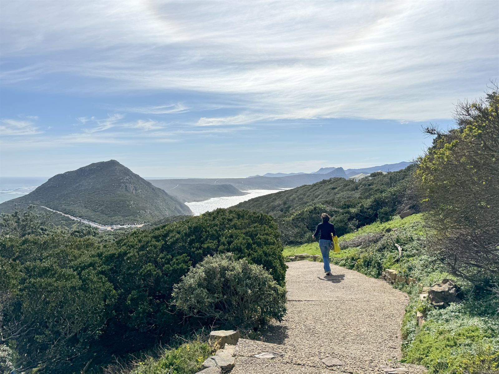 Walking path with ocean views at Cape Point