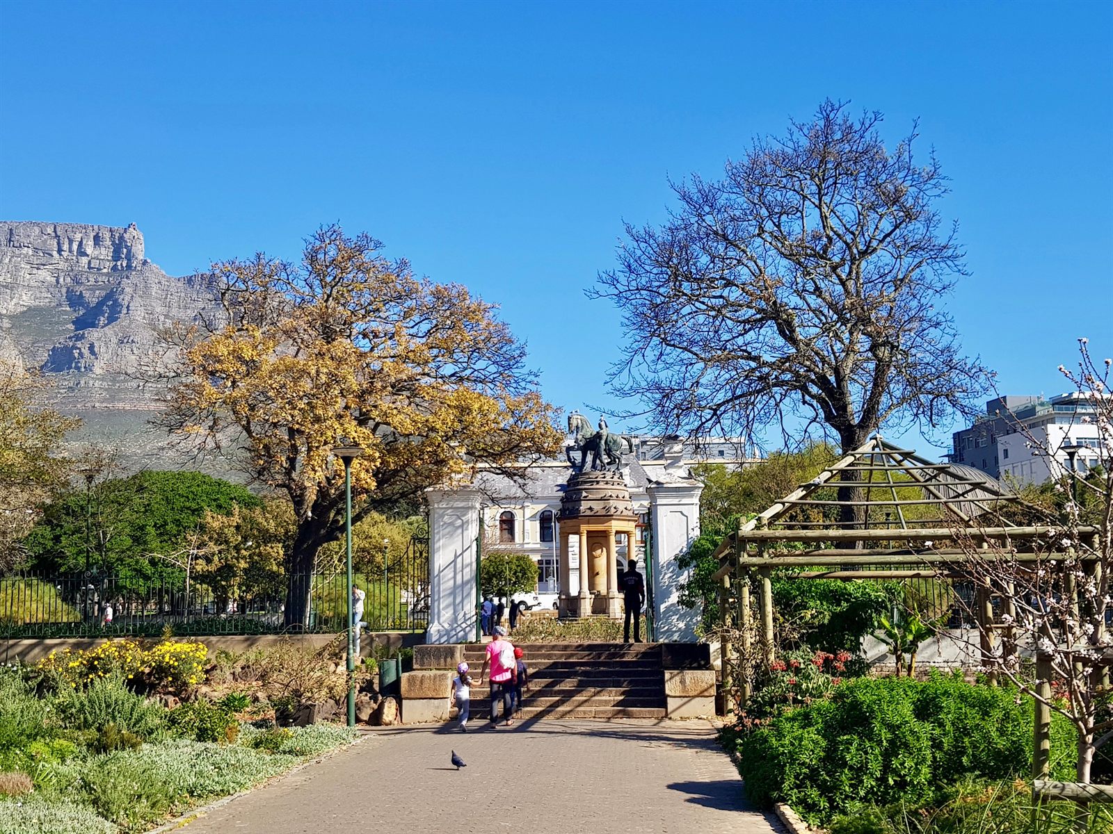 Company's Garden and District Six Museum
