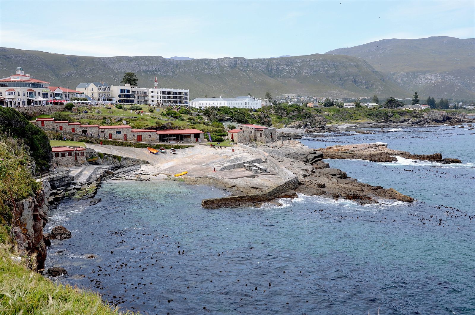 Hermanus and the Whale Coast