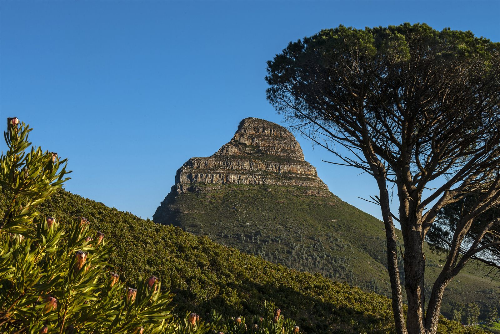 Lion's Head hike